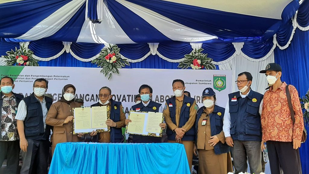 Pemkab Sumbawa dan Puslitbangtan Tandatangani Perjanjian Kerjasama RPIK Kawasan Integrasi Jagung-Sapi